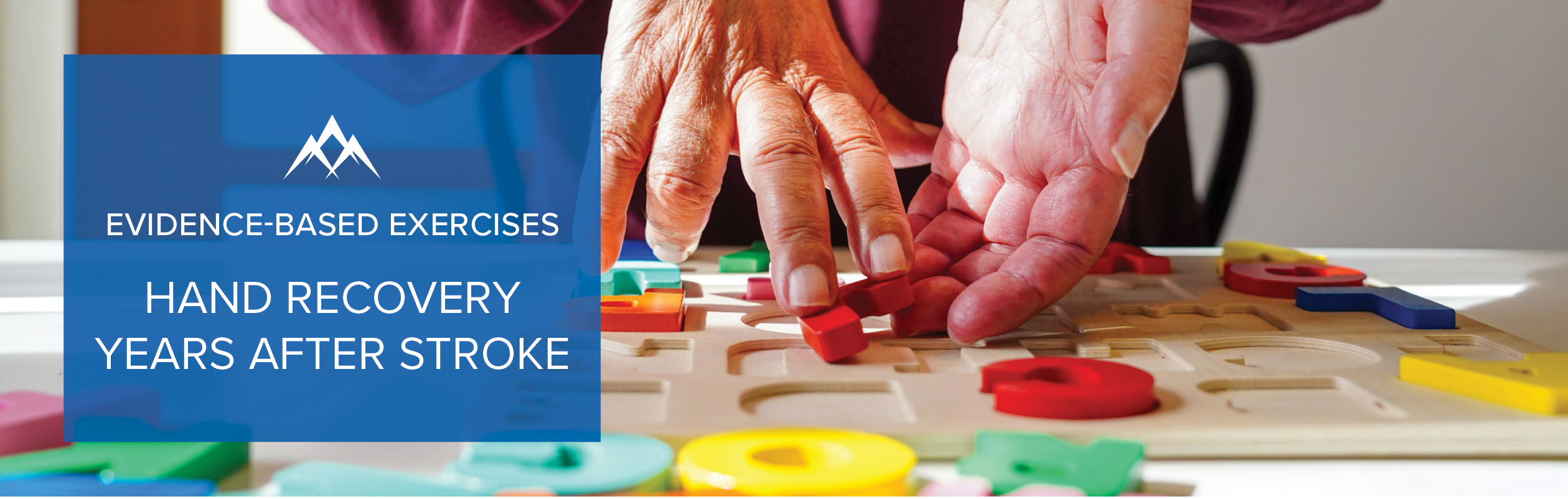 Can You Regain Hand Function Years After a Stroke? Evidence on Chronic Stroke Recovery, Neuroplasticity, and Hand Rehabilitation
