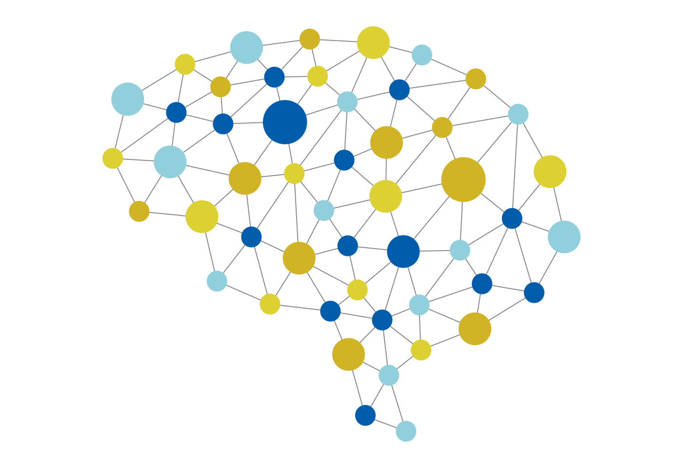 Cortical Plasticity