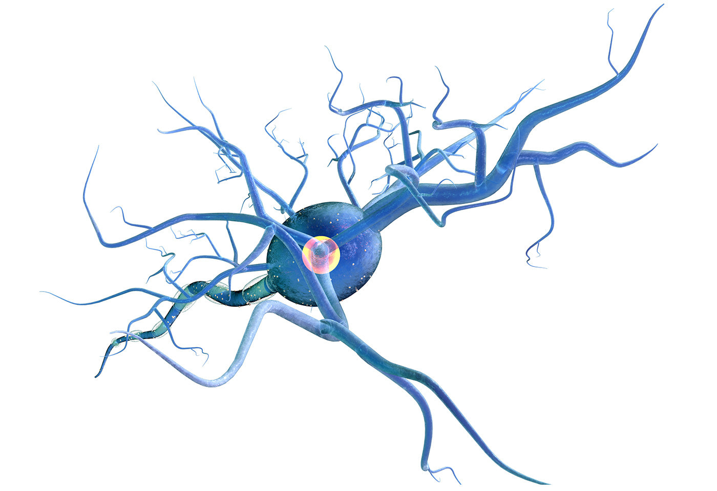 Peripheral Nerve Injury