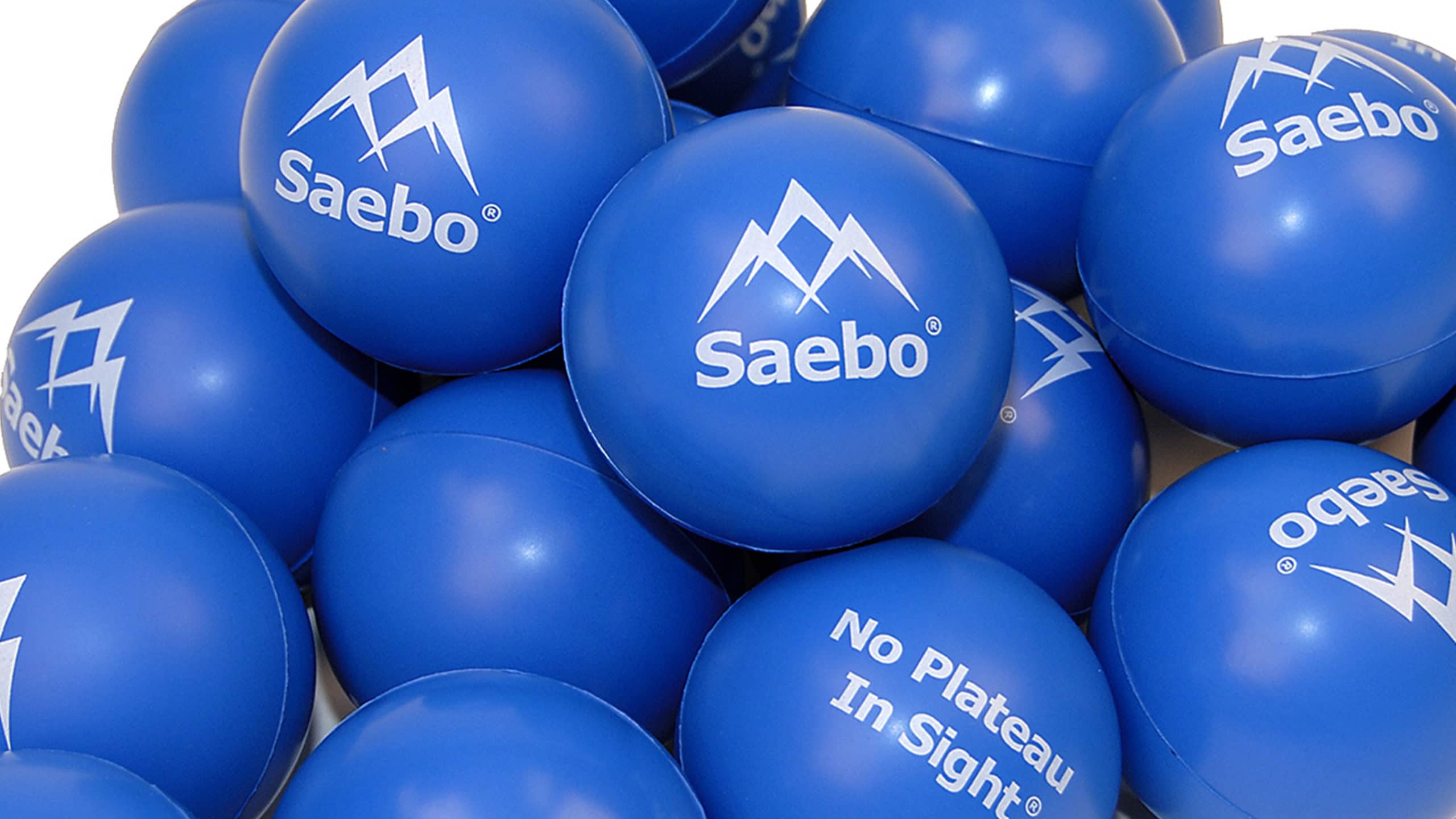 12 Saebo Balls (Small)