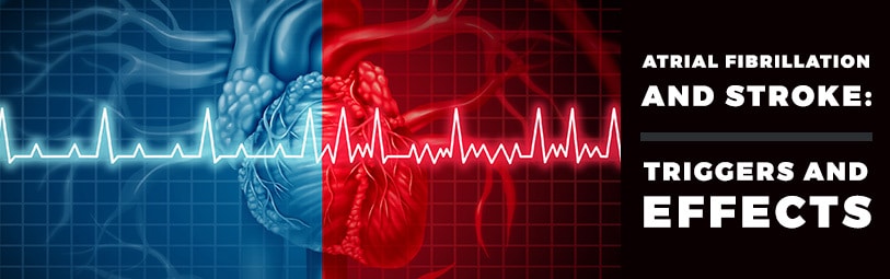 Guide to Atrial Fibrillation and Stroke