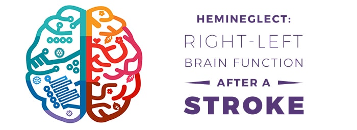 Hemineglect: Right-Left Brain Function After a Stroke