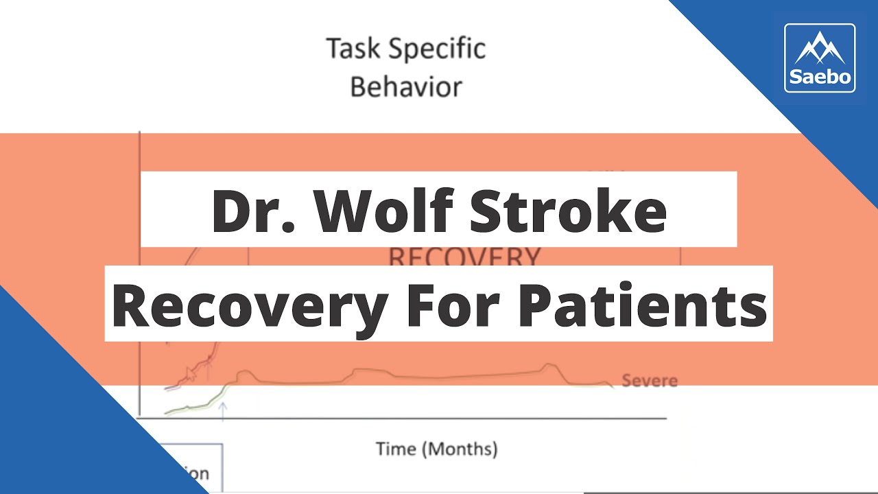 Dr. Wolf Stroke Recovery For Patients